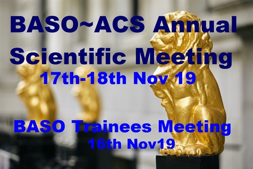 2019 BASO Conf 2